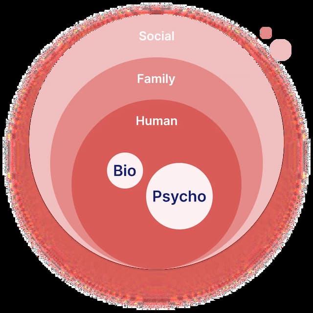 circle-expert-description-section