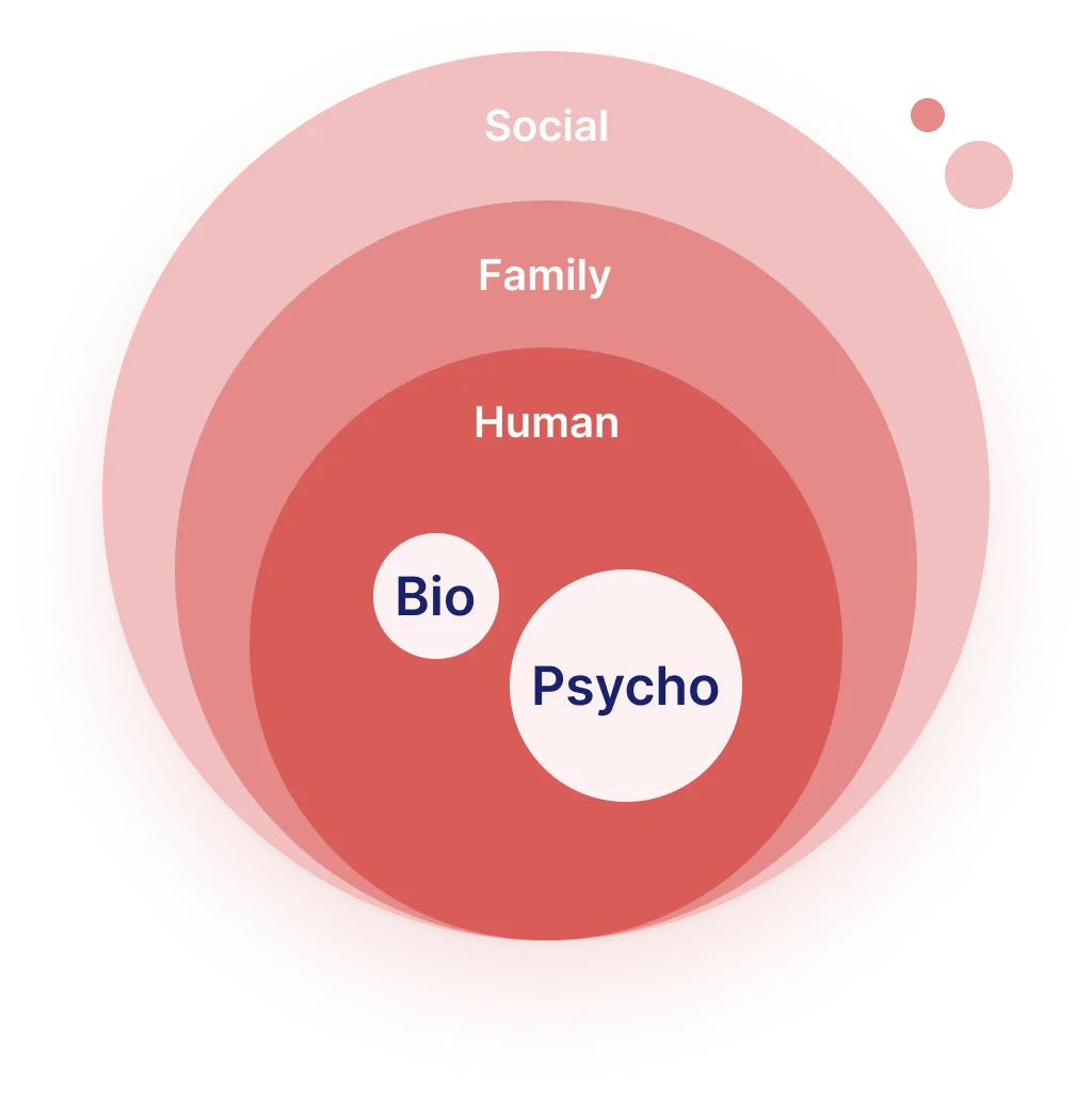 circle-expert-description-section